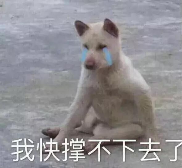 姚晨查出「癌症」崩潰大哭：男人愛不愛你，身體最實誠