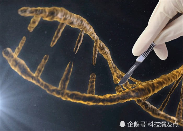 2.5億年前的「人腳印」被發現，科學家：地球生命是一個循環~ 