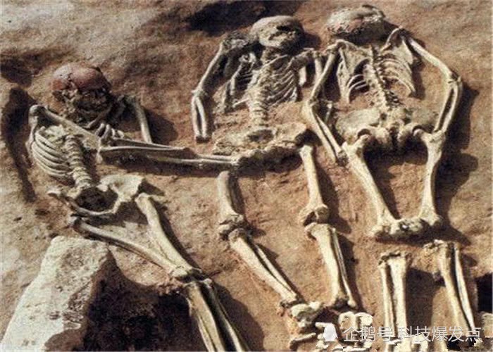 2.5億年前的「人腳印」被發現，科學家：地球生命是一個循環~ 