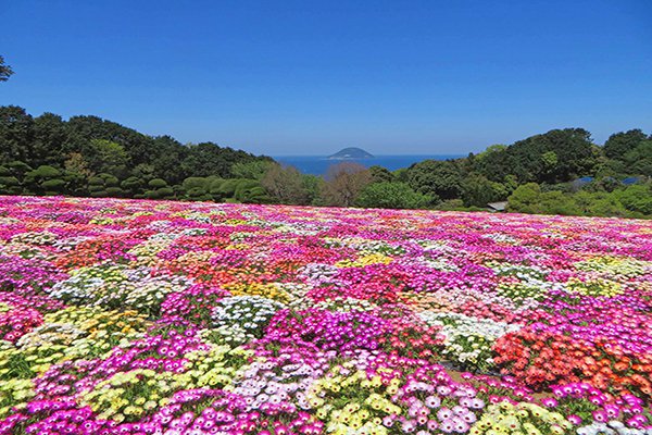 夢幻美景連當地人都讚嘆 日本春日五大絕景 