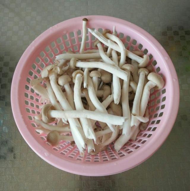 適合春天裡吃的的7個爽口小涼菜!