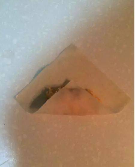 試試南瓜新做法，外面酥的掉渣，一口咬開滿足流油，超美味甜點