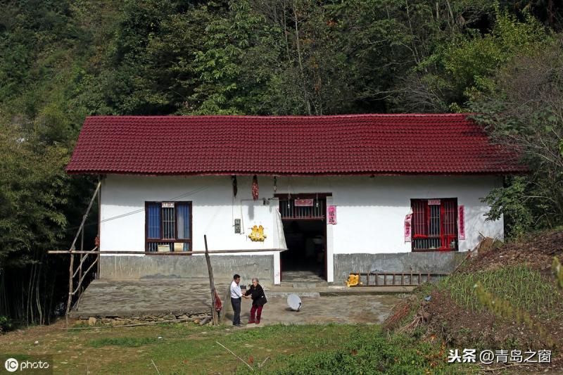 老母患病孝兒辭職回家！全天候陪伴「每天牽手曬太陽」，三餐親餵「揹媽媽找老友聊天」5年來從不喊累