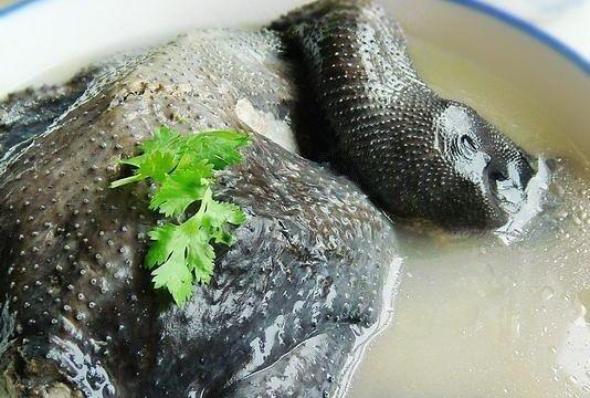 烏雞湯最營養的12種做法，全家老少都愛吃，太香太過癮啦
