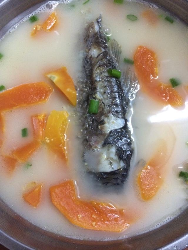 10種魚湯的做法，鮮美營養，超級好喝，全家都愛，愛吃魚的快收藏