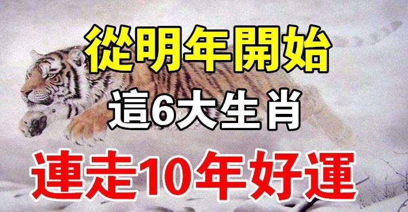 天生命運不凡！從明年開始，連走10年好運的6大生肖