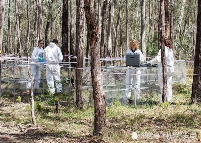 人類屍體在死後17個月，仍然會移動，科學家用攝影機記錄下畫面！