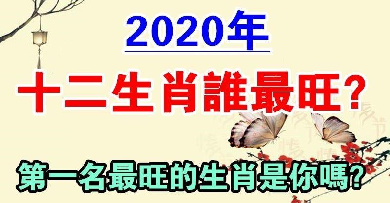 2020年十二生肖誰最旺？鼠年機遇不斷、功成名就的生肖是你嗎？