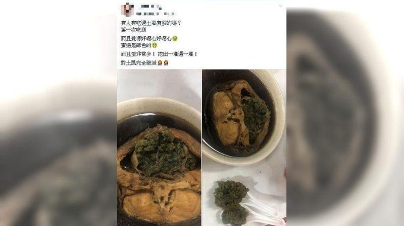 影/藥燉土蝨驚見「超量綠卵」她嫌噁 老饕：這是極品