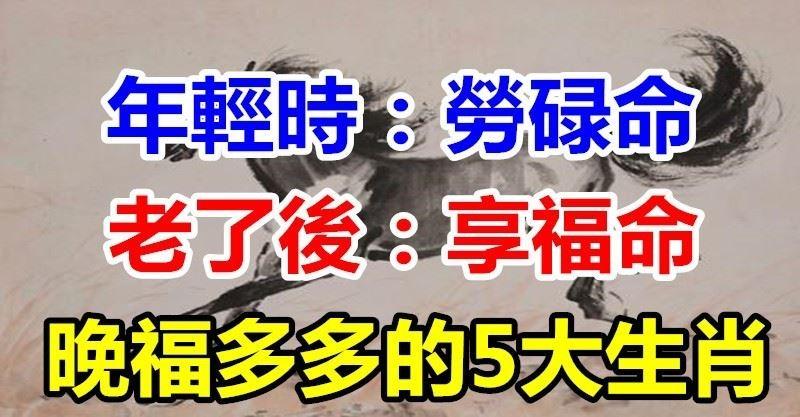 晚福多多！年輕時「勞碌命」 老了之後有兒孫孝順，享受大福氣的5大生肖