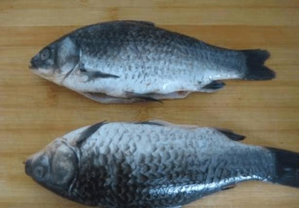 鯽魚魚湯和清蒸鱸魚的最經典做法，愛吃魚的請收走，鮮甜可口！