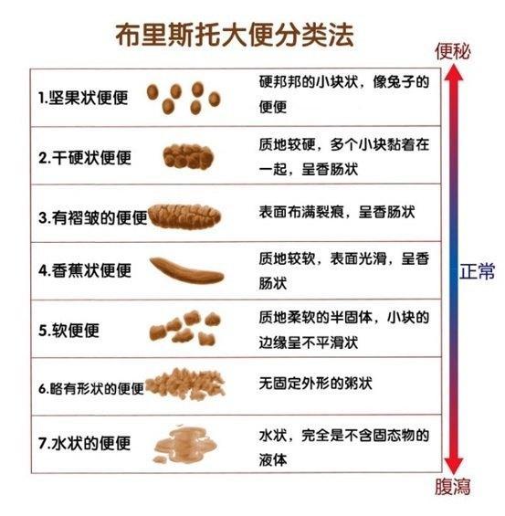 便秘好幾天沒有大便，糞便都去哪裡了？醫生告訴你治療方案