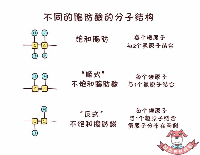 藏在蛋糕、麵包...中的「定時炸彈」，反式脂肪酸真的這麼可怕？