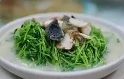 史上最全煲湯食譜，以後喝湯不愁了，非常值得收藏