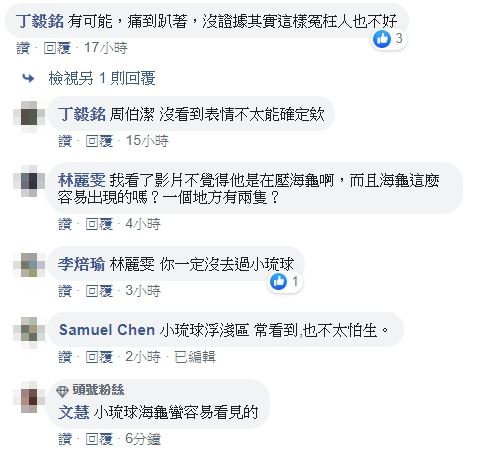 小琉球海龜疑似被遊客壓著玩，當事人喊冤是踩到海膽抓著石頭，網友「有沒有做你們心裡有數」