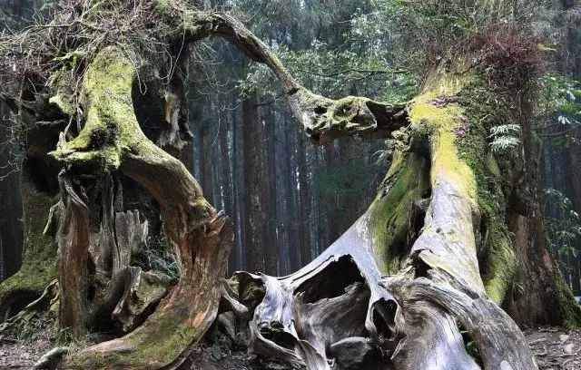 台灣，一個值得再去的地方
