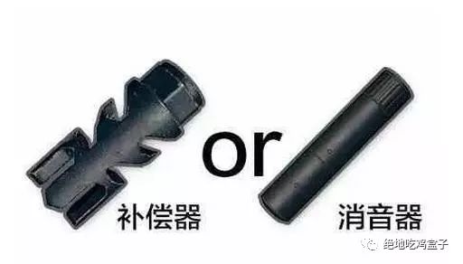 只能選擇一個槍口的話：消音或補償，你會選擇哪個？