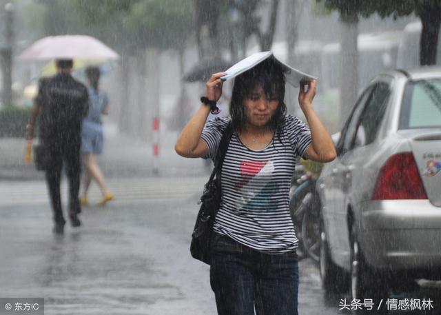 服務員把拾荒老人請進店避雨，老闆娘大聲呵斥，老闆出來連忙下跪