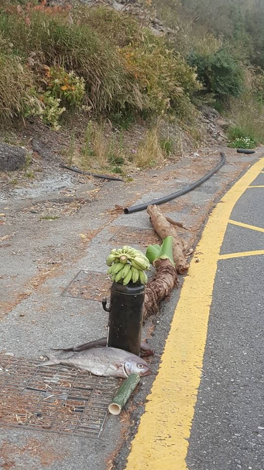 連假上武嶺跑山！沿途見「2串香蕉+2條魚」擺出奇特陣法 , 網友看完急勸「別碰快逃」：會被纏上的！