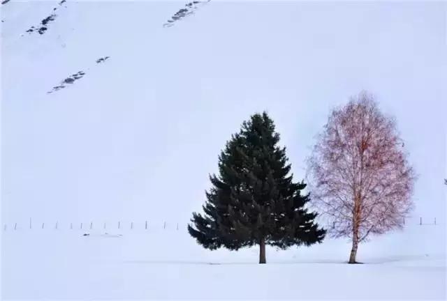 藏不住了！新疆第一個世界級地質公園曝光，景色美的無法無天