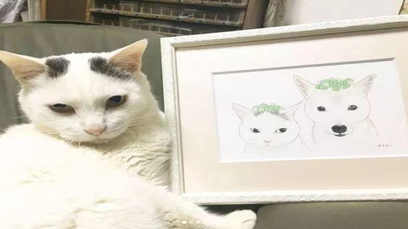 土狗頭上的那根「線」是什麼？