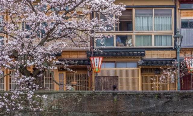 這裡被稱為日本的小京都，日本自由行必火的目的地