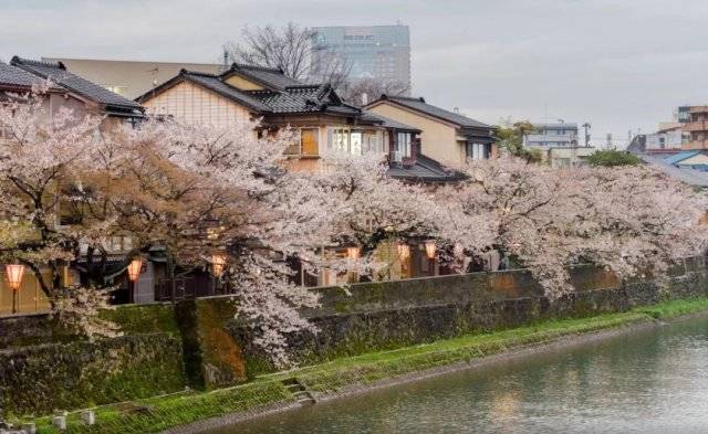 這裡被稱為日本的小京都，日本自由行必火的目的地
