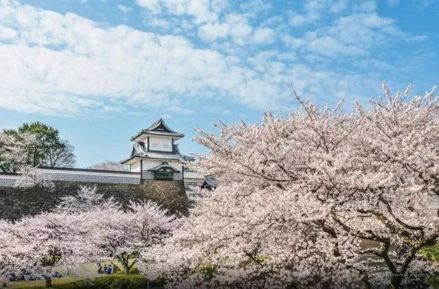 這裡被稱為日本的小京都，日本自由行必火的目的地
