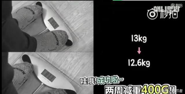 26斤肥貓像巨嬰：為逼其減肥主人絞盡腦汁，跑步時居然睡著了