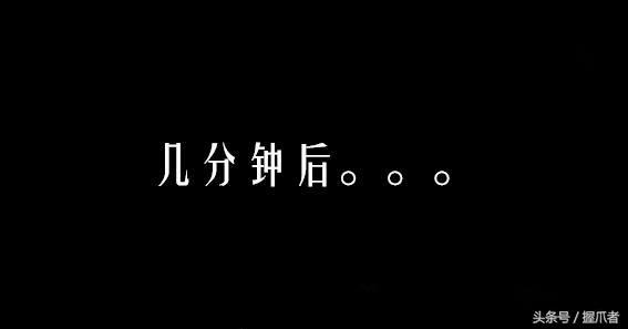 26斤肥貓像巨嬰：為逼其減肥主人絞盡腦汁，跑步時居然睡著了