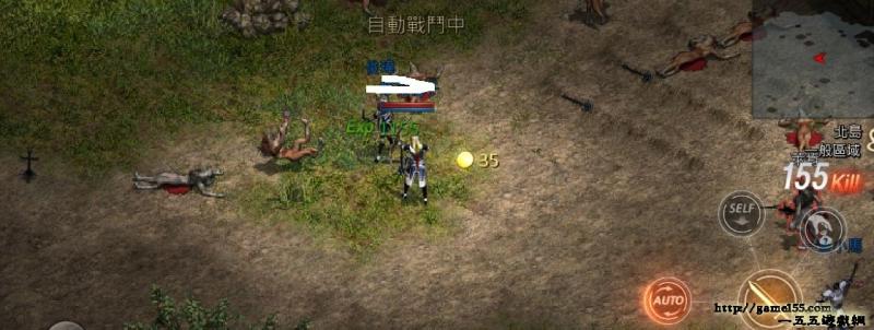 天堂M：葉子不夠嗎？ 灰葉打怪能做些甚麼 