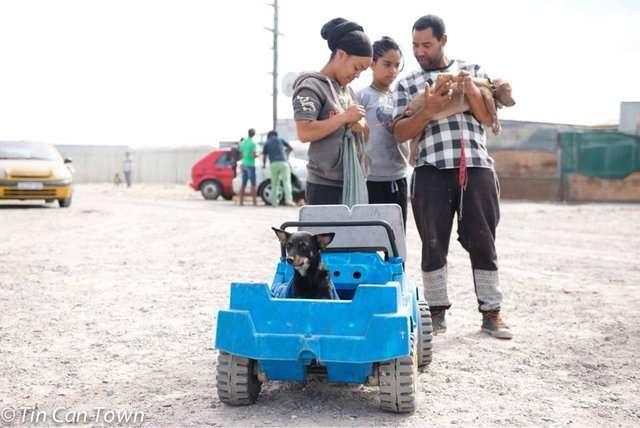 買不起真車的她拖玩具車帶愛犬看醫生，往裡一看讓獸醫非常感動 