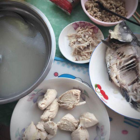 懷孕的狸花貓超預產期三天沒有生產，剖腹產後貓咪卻給她帶來驚喜 