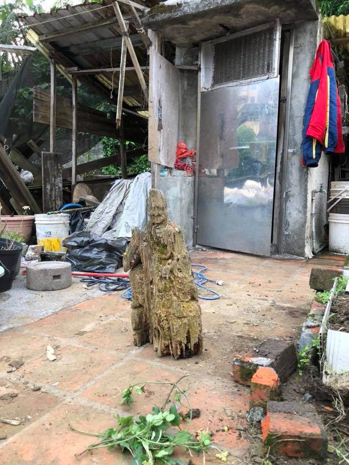 遭白蟻咬10年「枯木竟變濟公佛像」！眼尖網友發現「手上還有驚人細節」根本神蹟再現！