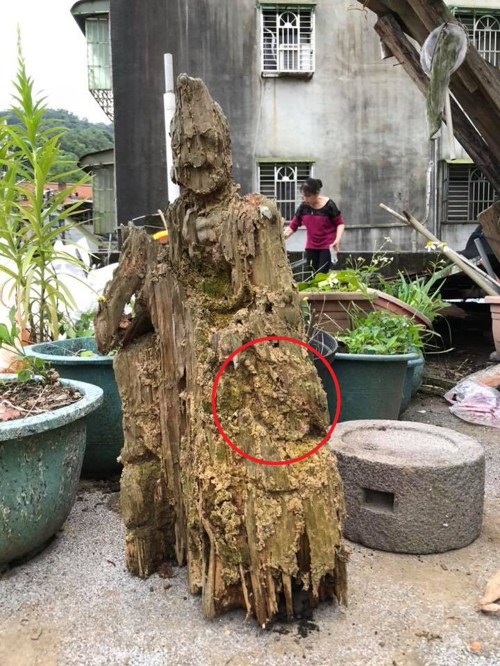 遭白蟻咬10年「枯木竟變濟公佛像」！眼尖網友發現「手上還有驚人細節」根本神蹟再現！