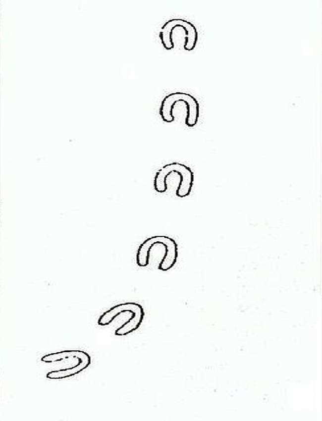 12個至今「只發生過一次」的詭異事件　現代科學家想破頭也解不出原因