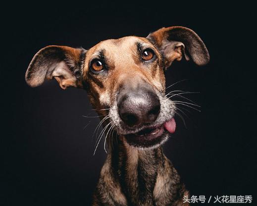 重情重義有擔當，嫁給4大生肖男，一輩子不愁吃和穿