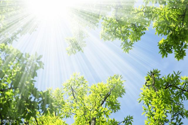 明天22號開始，這三大生肖，終於要「站」起來了！