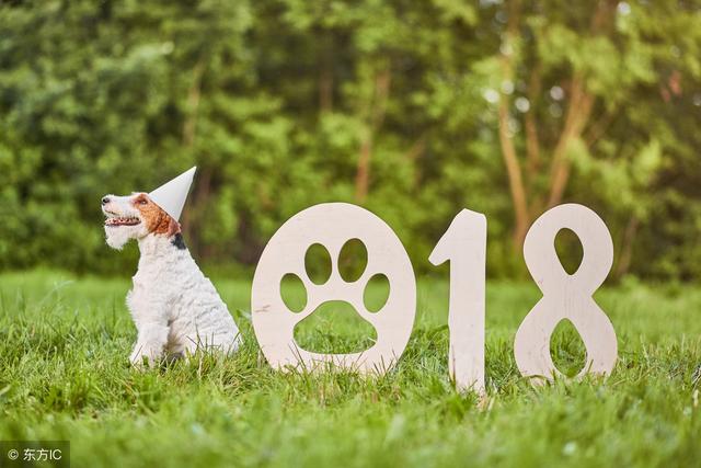 2018年這三大生肖不能碰賭 不然一發不可收拾
